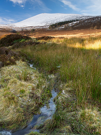 20121216-Moray-RC162242