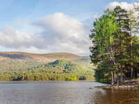 Loch an Eilein (1) [1906003]