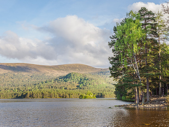 Loch an Eilein (1) [1906003]