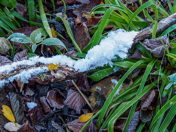 Urquhart Bay Wood Ice Hair [1811035]