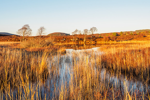 Loch na Bà Ruaidhe (1) [1811031]