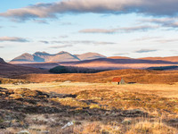 Droma Bothy (1) [1811017]