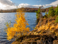 Loch Nam Bàt [1811010]