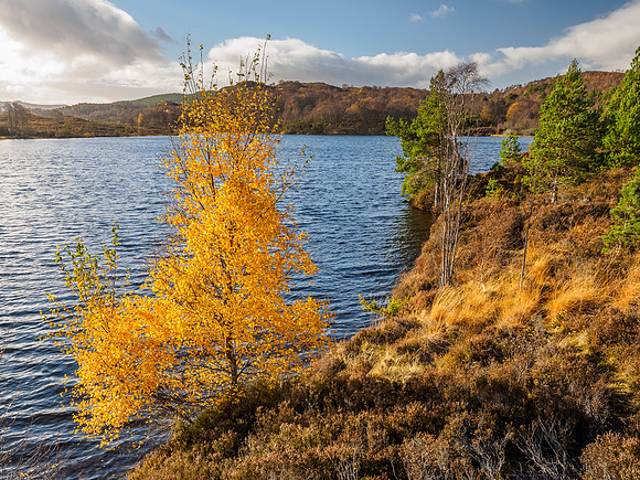 Loch Nam Bàt [1811010]