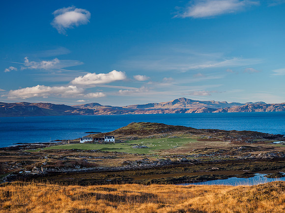 Ardban and Skye (1) [1811049]