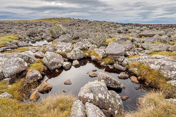 Reiff Boulder Field (2) [1811024]