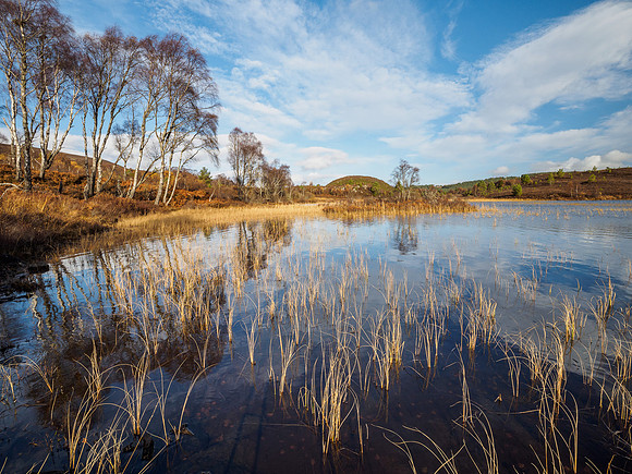 Loch na Bà Ruaidhe [1811009]