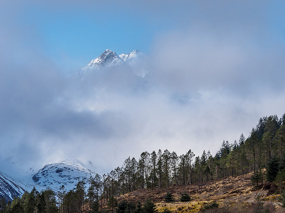 Alpine Shiel