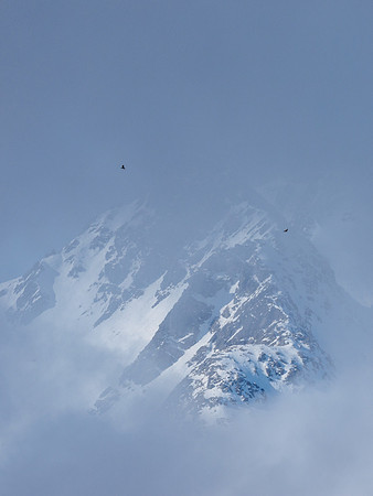 Alpine Shiel