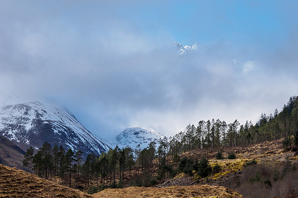 Alpine Shiel