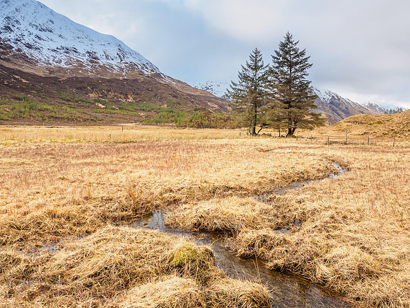 Misty Glen Shiel