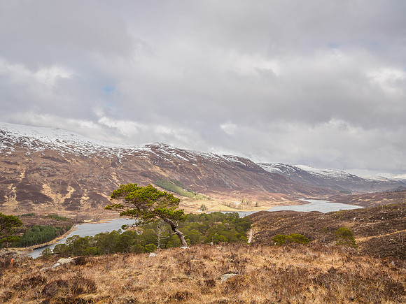 Mullardoch Lodge
