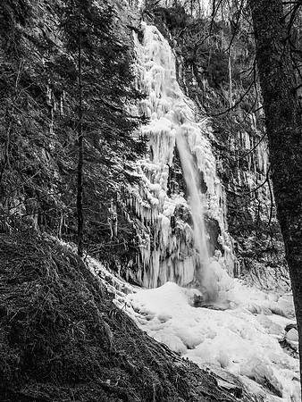 Plodda Falls