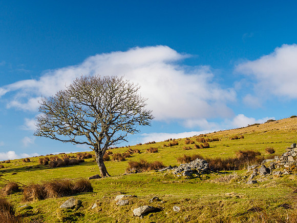 Torniechelt Ruins