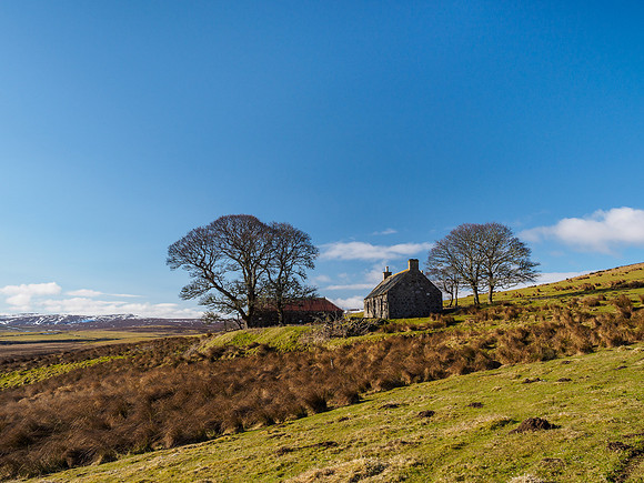 Torniechelt Ruins