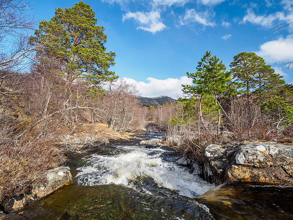 River Cannich