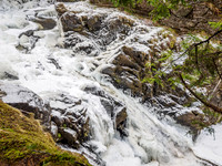 Plodda Falls