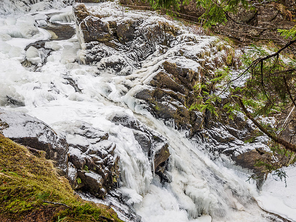 Plodda Falls