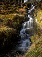 Burn, Glen Affric