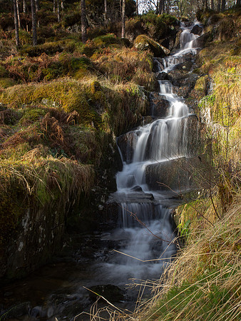 Burn, Glen Affric