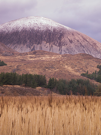 20100101-Skye-R1013093