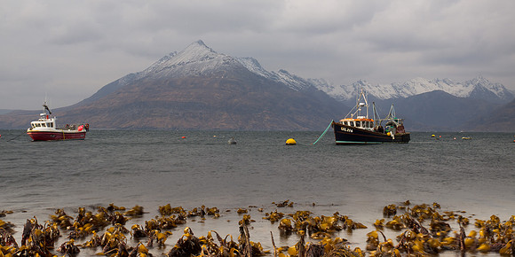 Cullin Hills