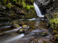 Strath Conon Burn