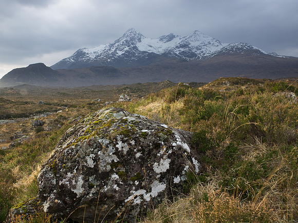 20100101-Skye-R1013079