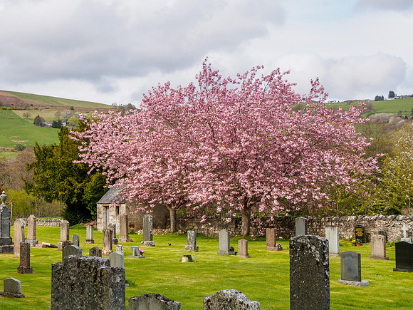 Kilmore Cemetery
