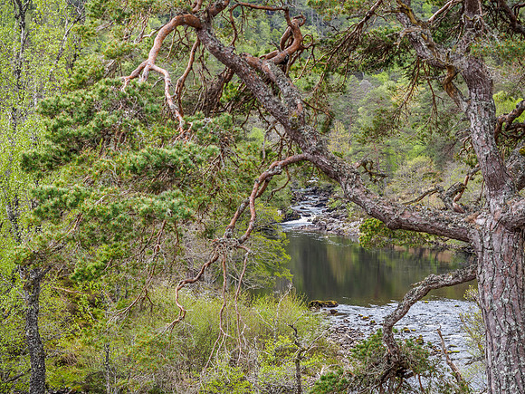 River Farrar 1