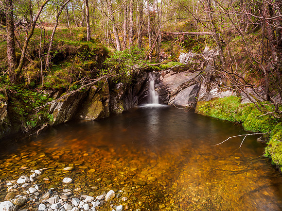 Neaty Burn 3