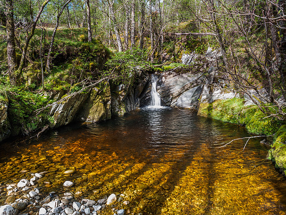 Neaty Burn 2