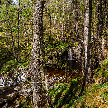 Neaty Burn 1