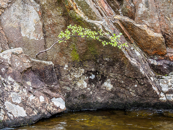 River Farrar 2