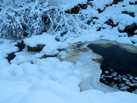 January2010-14