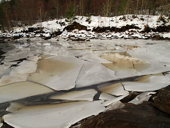 Glen Affric_2010 01 17_0286