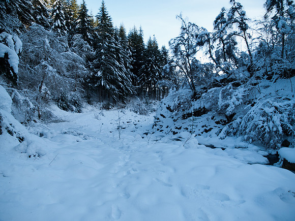 20100110-Coiltie-P1105696