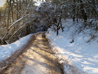 Snow_2010 01 06_0180