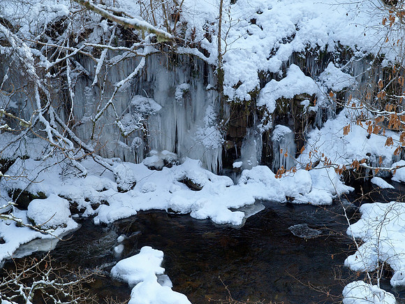 Snow_2010 01 06_0183