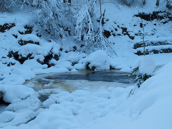 January2010-13