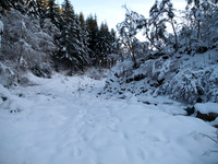 January2010-16