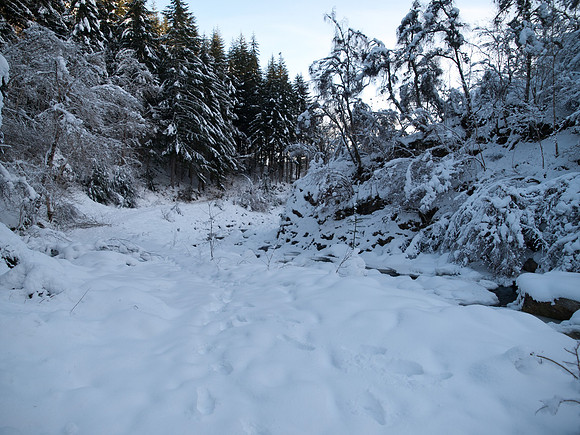 January2010-16