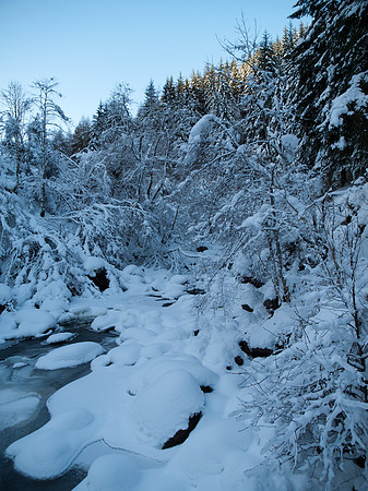 20100110-Coiltie-P1105700