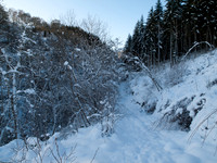 20100110-Coiltie-P1105664