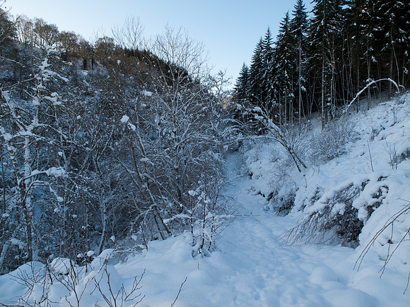 20100110-Coiltie-P1105664