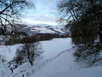 Snow_2010 01 06_0198