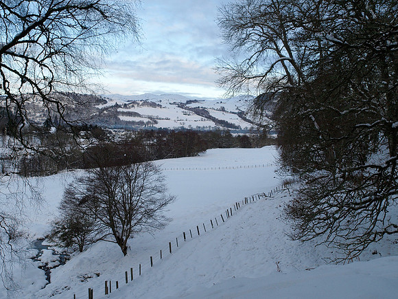Snow_2010 01 06_0198