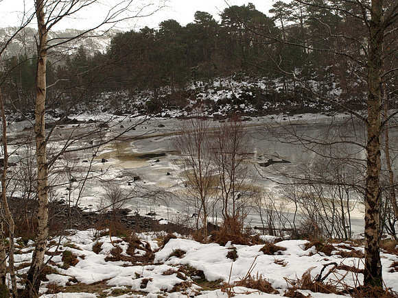 Glen Affric_2010 01 17_0284
