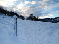 Snow_2010 01 06_0207
