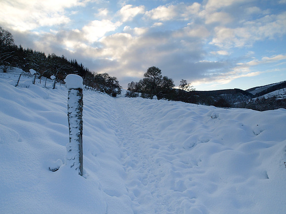 Snow_2010 01 06_0207